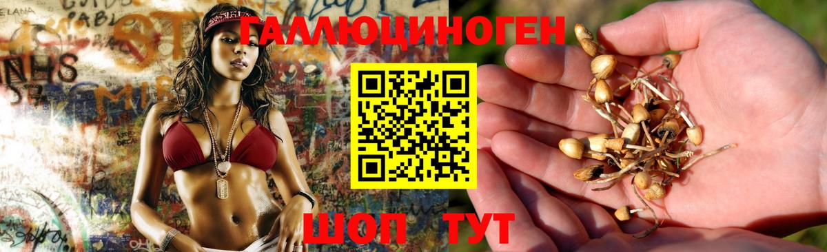 Нарткала  Псилоцибиновые грибы прущие грибы  Вход с VPN 