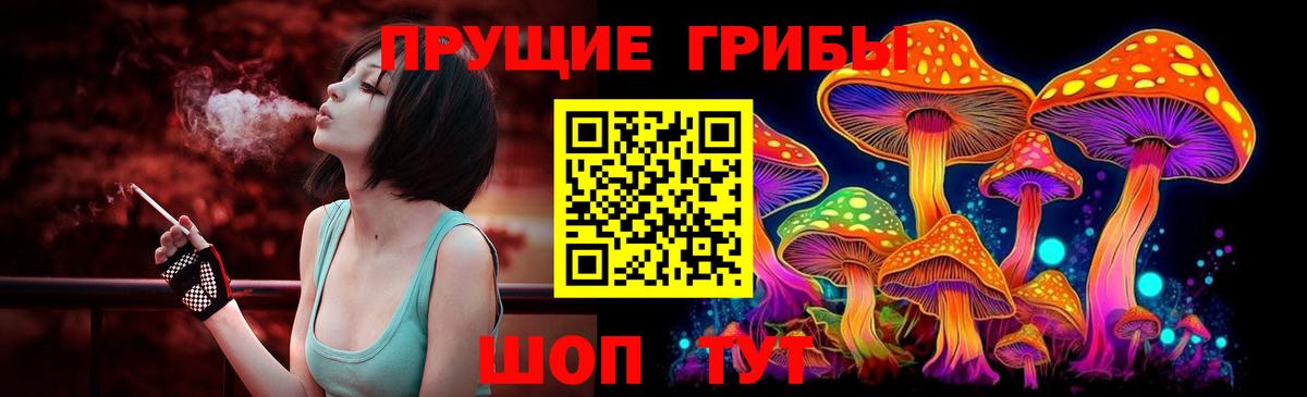 Галлюциногенные грибы Cubensis Нарткала